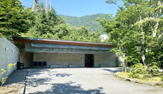 0歳児と行く星野リゾート【界　鬼怒川】！子連れ家族の1泊2日詳細レビュー！