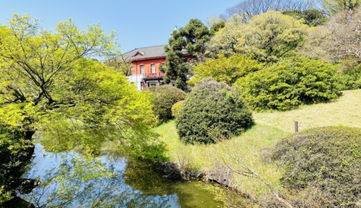 日本最古の植物園で子連れピクニック！都市の中で自然を満喫できる癒しスポット！
